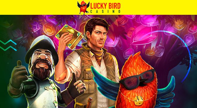 Lucky Bird Casino — 100% бонус к пополнению